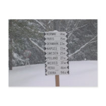 Signs Post Cards