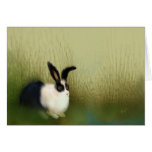 Silence at the Cape Greeting Cards