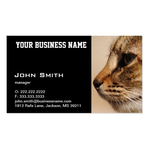 Silent Cat business card (front side)