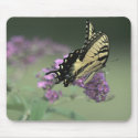 Silent Flight mousepads by kingdomkiddo Silent Flight mousepads