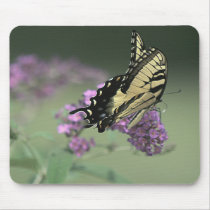 Silent Flight mousepads