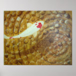 Silent Koi- Matthew Crew Print