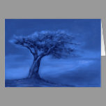 Silent Night greeting card cards