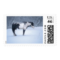Silent Night Postage Stamp
