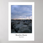 Silent Sails posters