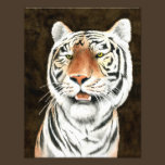 Silent Stalker Tiger Photo Print photography