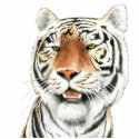 Silent Stalker - Tiger Photo Sculpture photo sculptures