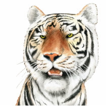 Silent Stalker - Tiger Photo Sculpture photo sculptures by 13BlackCatsDesigns Silent Stalker - Tiger Photo Sculpture photo sculptures