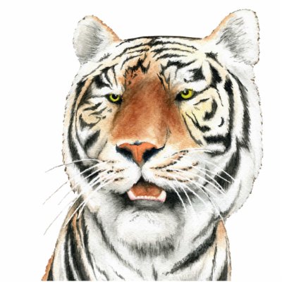 Silent Stalker - Tiger Photo Sculpture by 13BlackCatsDesigns