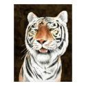Silent Stalker - Tiger Print