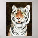Silent Stalker - Tiger Print print