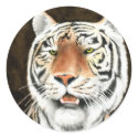 Silent Stalker - Tiger Sticker