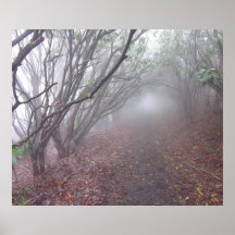 Silent Trail Posters