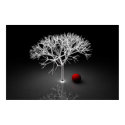 silent tree posters