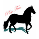 Silhouette and Shadow Paso Fino t-shirts