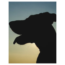 silhouette flyers