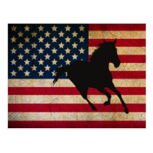 Silhouette Horse with USA Flag Post Card