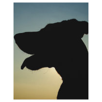 silhouette letterhead