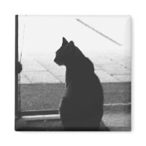 Silhouette magnets