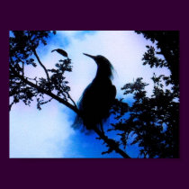 Silhouette of a Bird posters