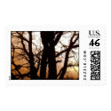 "Silhouette Of An Autumn Tree" Custom Postage postage