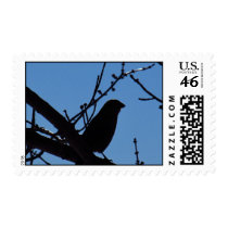 Silhouette of Bird - Postage Stamp