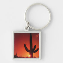 Silhouette of cactus at dusk , Saguaro National Key Chains
