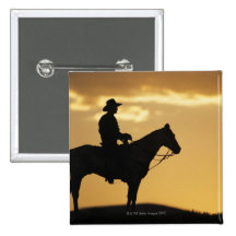 Silhouette of cowboy on horseback at sunset or pins