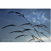 Silhouette of grass at sunset acrylic cut out