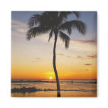 Silhouette of one Palm Tree by a Red Orange Sunset Fridge Magnet