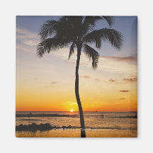 Silhouette of one Palm Tree by a Red Orange Sunset Fridge Magnet