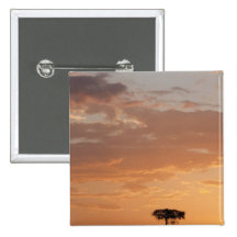 Silhouette of tree on plain, Masai Mara Pin