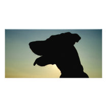 silhouette photo cards by laengauer silhouette photo cards