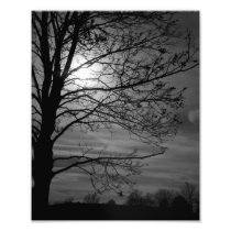 Silhouette photography