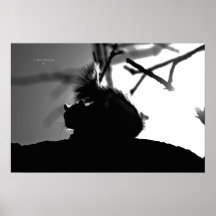 Silhouette Posters