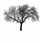 silhouette-tree tee shirts