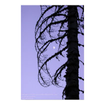  Silhouette with Moon, northern California posters