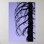 Silhouette with Moon, northern California Poster