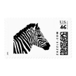 Thumbnail image for Zebra Head Profile