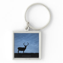 Silhouetted Red Deer Stag at Night Key Chains