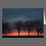 Silhouetted Trees Greeting Card cards