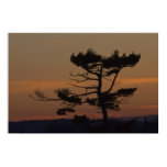 2010, art, canada, decor, home decor, nova scotia,