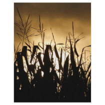 Silhouettes flyers