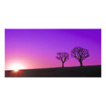 Silhouettes in the Sunset Photo Greeting Card