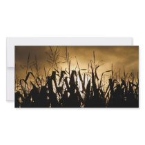 Silhouettes photo cards