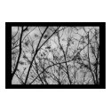 Silhouettes posters by moonrisings Silhouettes posters