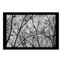 Silhouettes posters