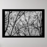 Silhouettes Print