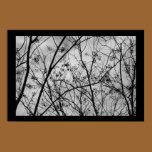 Silhouettes posters