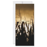 Silhouettes Personalized Rack Card